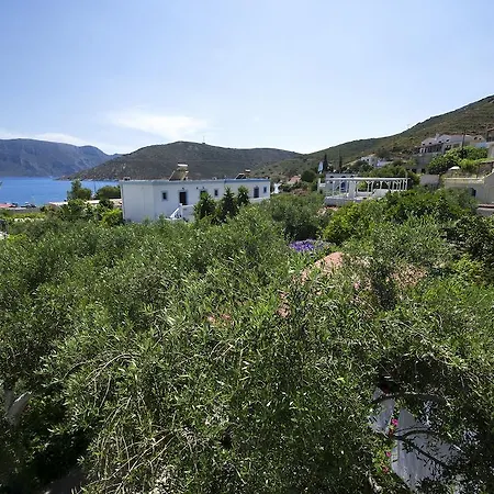 Aparthotel Harry's Paradise