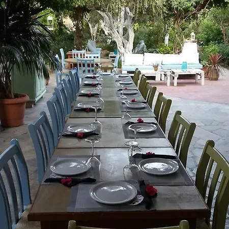 Harry's Paradise Emborios