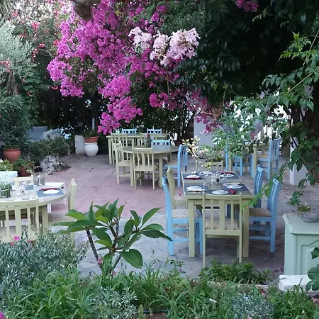 Harry's Paradise Aparthotel Emborios